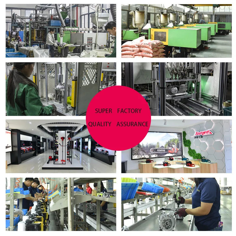 TOPWE Factory Supply Petrol Chain Saw Wood Cutting Machine Professional Gasoline Chainsaw